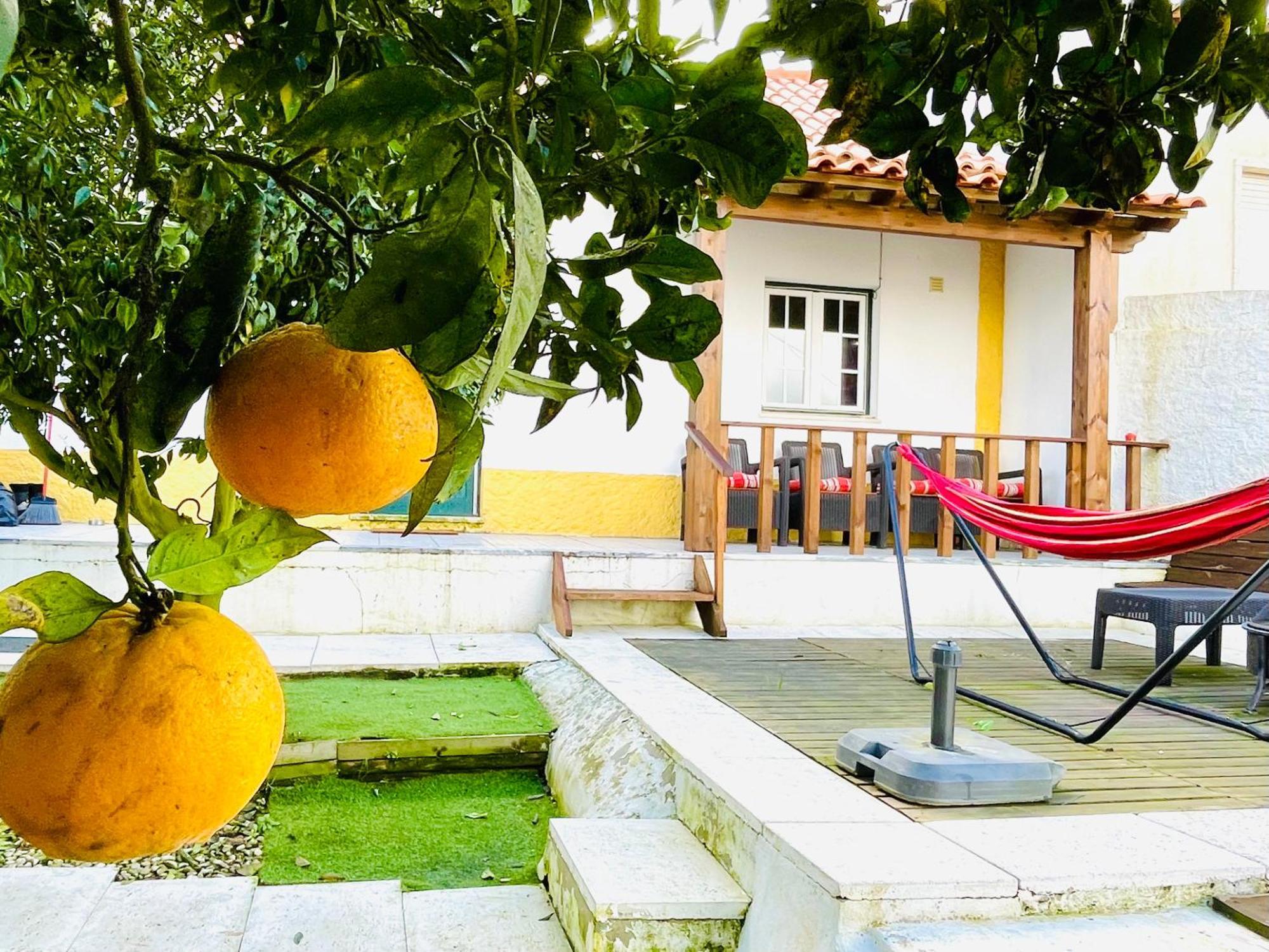 Casa Da Laranjeira Villa Vale Covo  Buitenkant foto